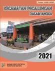 Kecamatan Pecalungan Dalam Angka 2021