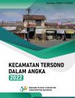 Tersono Subdistrict in Figures 2022