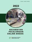 Kecamatan Pecalungan Dalam Angka 2022