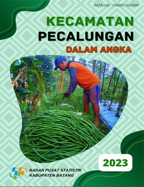 Kecamatan Pecalungan Dalam Angka 2023