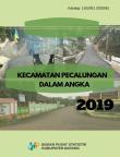 Kecamatan Pecalungan Dalam Angka 2019